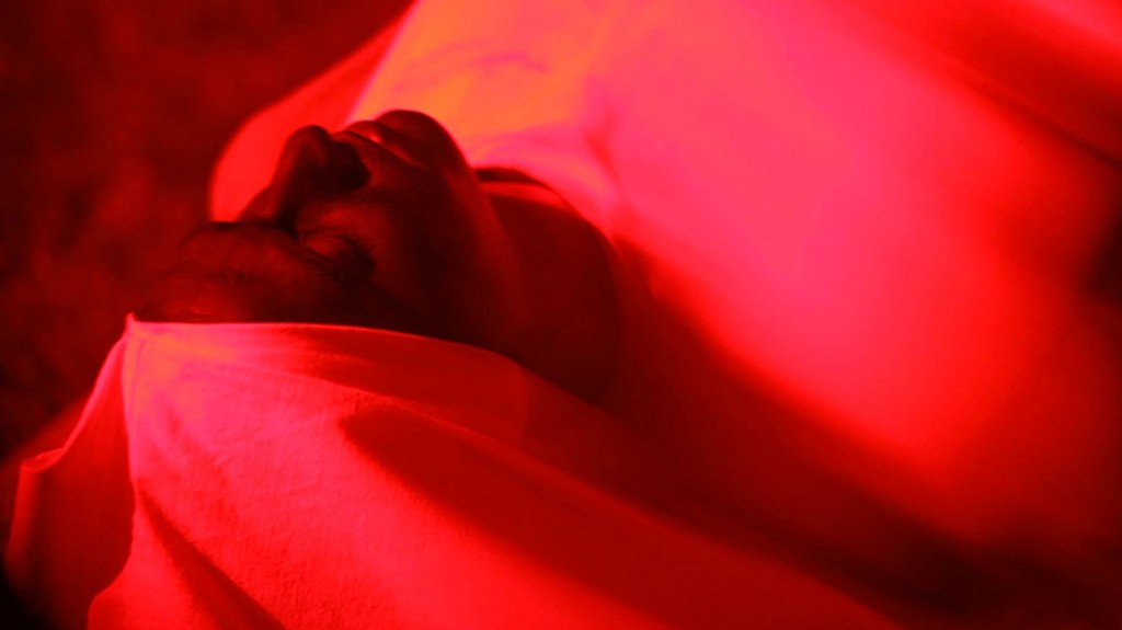 pauline_cunier_jardin_web