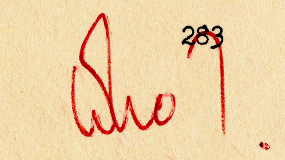 logical_revolts_3_rosa_brux