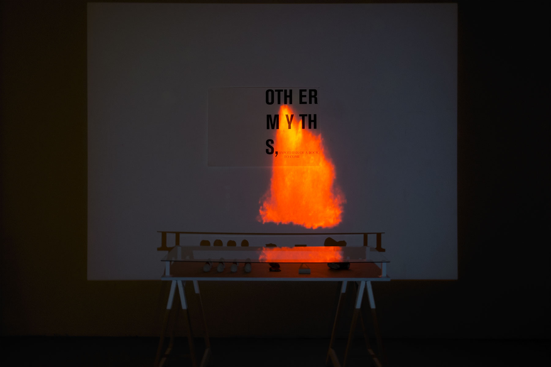 ana_vaz_exposition_3_rosa_brux