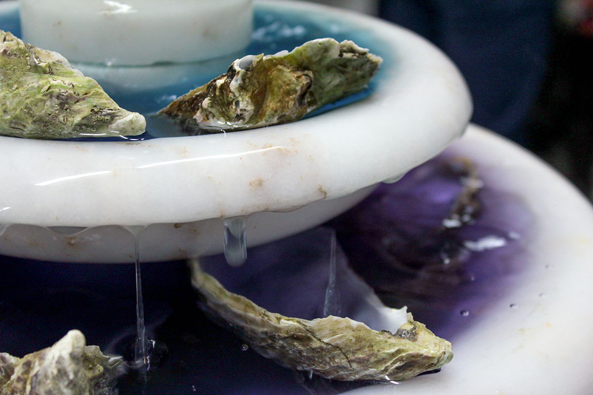 exposition_bleue_rosabrux_françois_bousquet_carina_erdmann_esben_gyldenlove_alexandra_karpilovski_baptiste_mano_ruben_van_havermaet_1