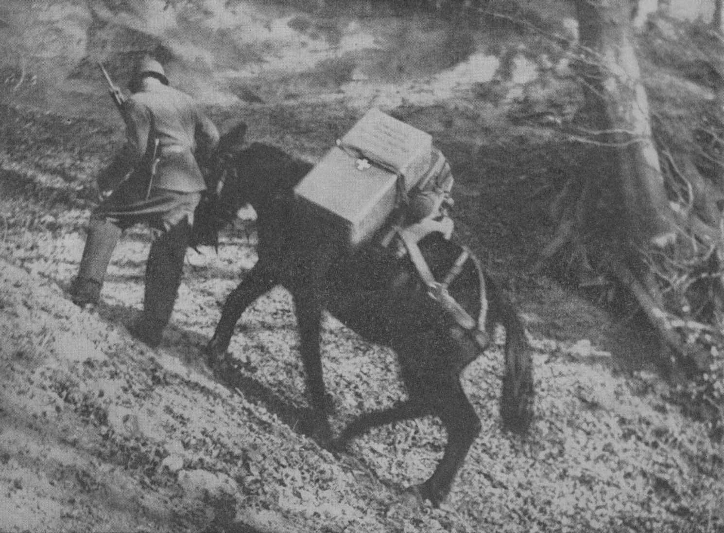 boites-livres_ane-photo-Bibliotheque_wanderbibliothek_rosabrux